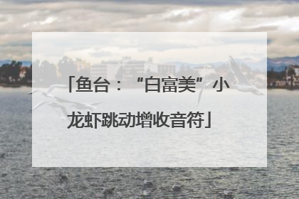 鱼台：“白富美”小龙虾跳动增收音符